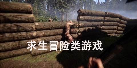 生存冒险类手机游戏