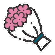 520束玫瑰花图