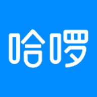 哈拜轻快车主端