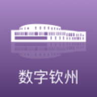 数字钦州