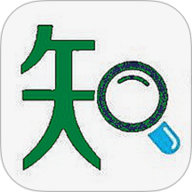 市场知事