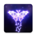 璀璨星光中文版