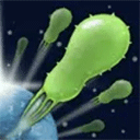 plague bacteria中文版
